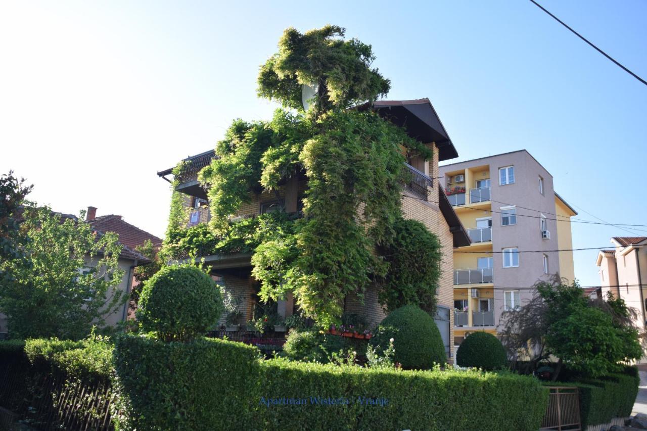 Apartman Wisteria Vranje Eksteriør billede