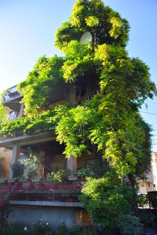 Apartman Wisteria Vranje Eksteriør billede