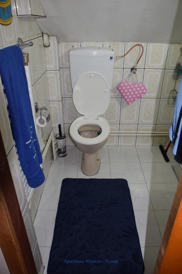 Apartman Wisteria Vranje Eksteriør billede